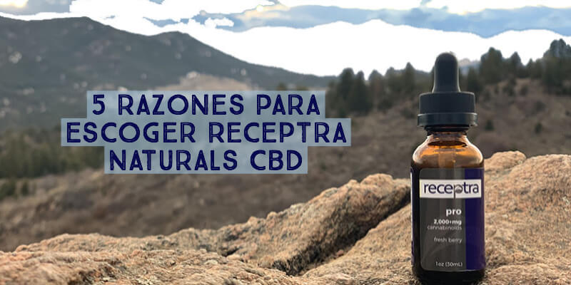 5 Razones Para Escoger Receptra Naturals CBD