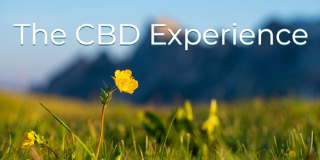 The CBD Oil Experience - What it feels like to take CBD