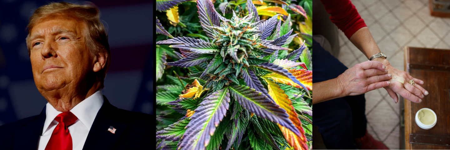 President Trump Shares a Video on CBD and Senior Health: A Moment of National Recognition