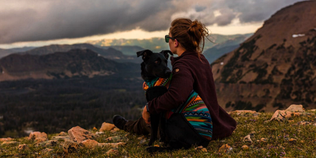 How to Calm a Dog During a Thunder Storm