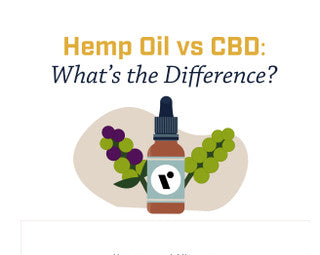 Infographic - Hemp Oil vs CBD: What’s the Difference?