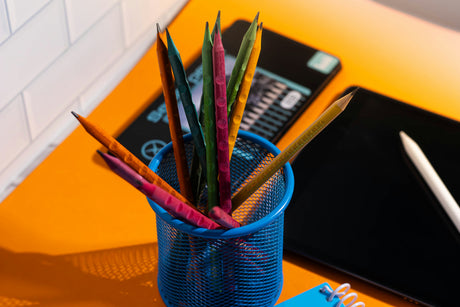 Grown Up School Supplies
